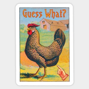 Guess What? Chicken Butt Sticker